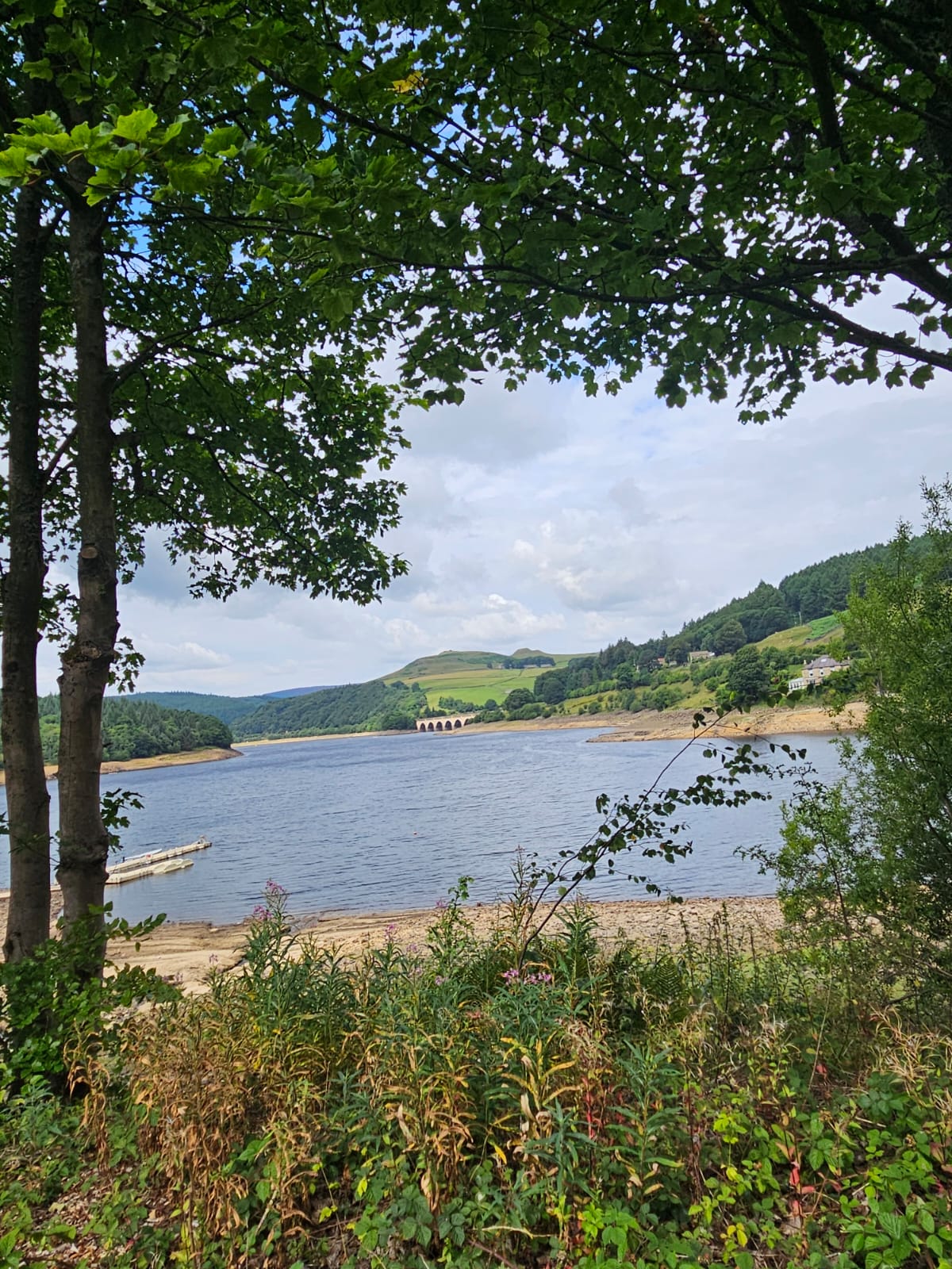 IMG-20250727-WA0028